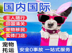 普宁航空空运国际宠物托运 【国